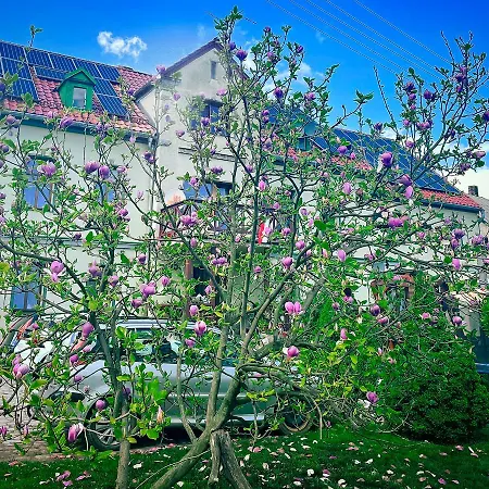 Wrzosowka Pokoj Z Aneksem Apartment Jelenia Góra