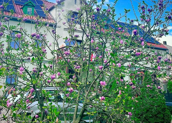 Wrzosowka Pokoj Z Aneksem Appartement Jelenia Góra